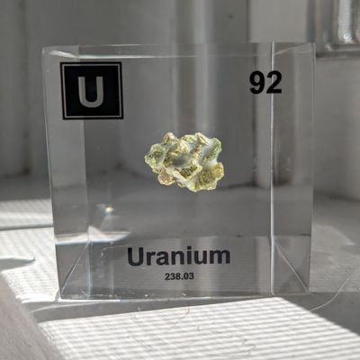 TommyTom008's profile picture. Ubull