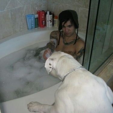 grandtheftpawto's profile picture. stan twitter, atrl, slurpers… this is for yall