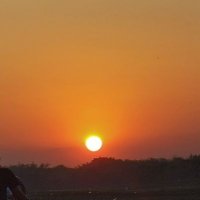 i (@pegagummuu) 's Twitter Profile