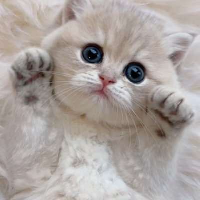 LindaJo27560556's profile picture. A wonderful life is to realize infinite value in a limited life.