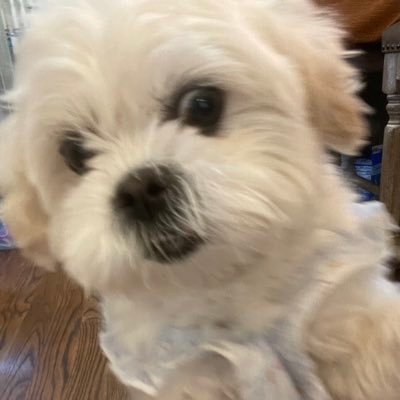 Brianna 🇰🇷さんのプロフィール画像