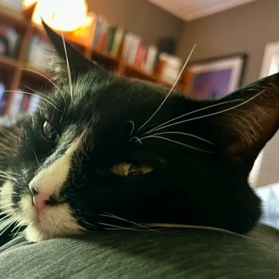 tman631's profile picture. No longer here . Catch me on bluesky.