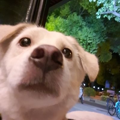 FennLiu's profile picture. 江山风月，本无常主，闲者便是主。