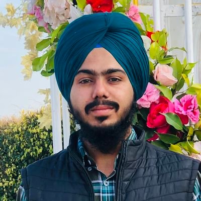 Artificial Intelligence Enthusiast | Physics Graduate transitioning to AI | Aspiring Entrepreneur | University of Delhi