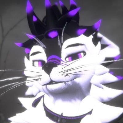 💜 CoderWolf 💜さんのプロフィール画像