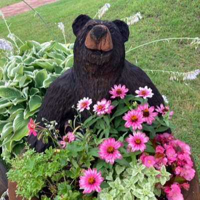 tangbenwanlizi's profile picture. 