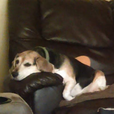 Waveland_Wx_Ctr's profile picture. 