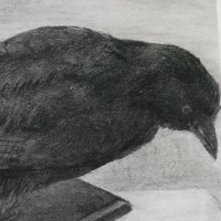 タカミヤアユミ (@utu__nikki) 's Twitter Profile Photo