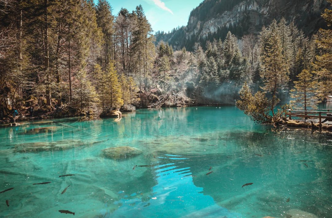 ddllct947z94974's profile picture. 