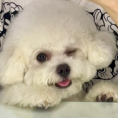 Cecily1033's profile picture. Pursue freedom, love life, like to travel, life is not only daily necessities, but also poetry and distant places