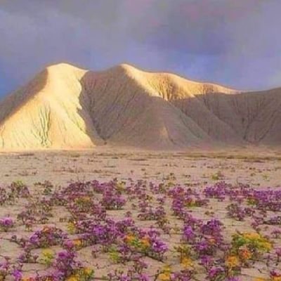 Chi, dà per certo che Dio non esiste, non ha conoscenza nemmeno dell'1% del cosmo 
Non siamo mai usciti dal nostro giardino.