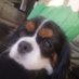 Lord Frodo (@l_rdfrodo) Twitter profile photo Lord Frodo (@l_rdfrodo) Twitter profile photo
