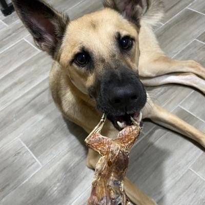 Dark_D_4's profile picture. 努力學習使用3C的3C笨蛋、自稱犬派，但也蹭貓、持續探索世界和自我內心