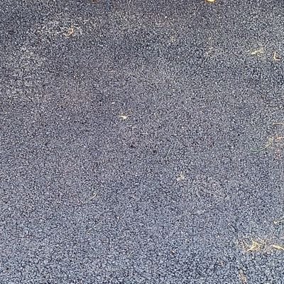 felberdani's profile picture. 