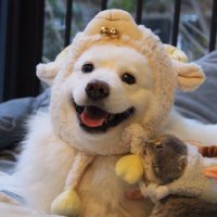 Tianyuan (@dr_tyxiong) 's Twitter Profile