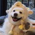 Tianyuan (@dr_tyxiong) Twitter profile photo Tianyuan (@dr_tyxiong) Twitter profile photo