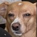 idk (@bigl29626) Twitter profile photo idk (@bigl29626) Twitter profile photo