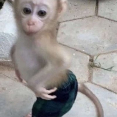 quadraticpickle's profile picture. 