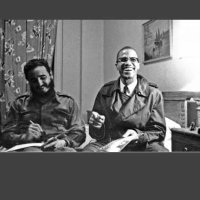 Ali (@mujicasav) 's Twitter Profile