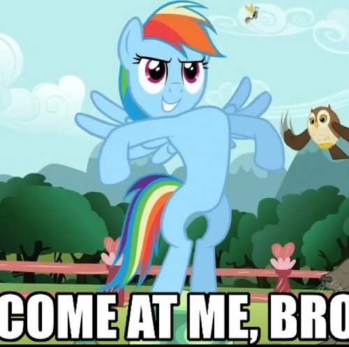 BEERPONGPONY's profile picture. Don't tase me, bro! I'm kind of a big deal.