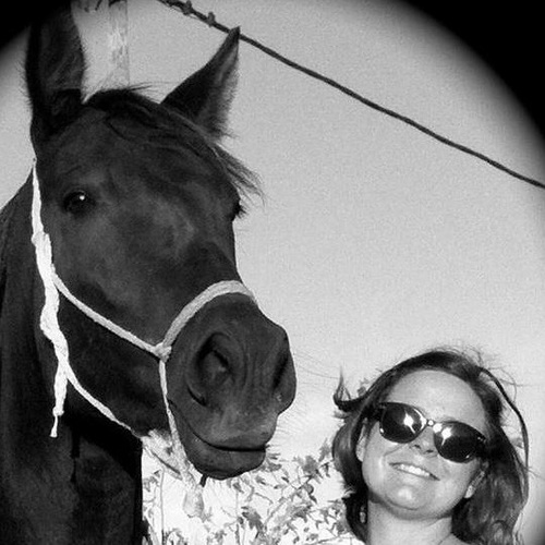 GuidingStarbuck's profile picture. Tweeting about #training, riding, caring for and building a relationship with #horses while living on beautiful #Mallorca.