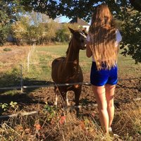 Mable (@mableandrew77) 's Twitter Profile