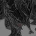 washler (@saturnine799) Twitter profile photo washler (@saturnine799) Twitter profile photo