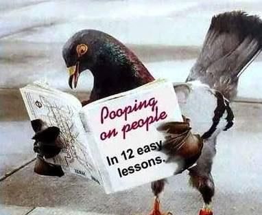 kuz1945's profile picture. dummy coder, internet addict, and a......