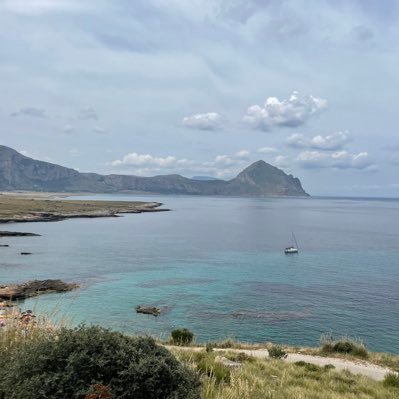 superpeppepika's profile picture. 