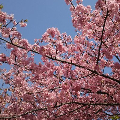 ～獅子の如く～　無言フォローすみません