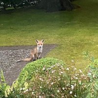 Tess Stanly (@tessstanly) 's Twitter Profile