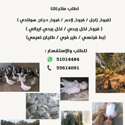 abokhlaed1's profile picture. 