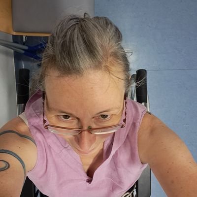 PacinoPack's profile picture. Sie/she  #freethegalgo, #rescuedogs und #mauersegler und weil sonst nix besser wird #govegan #wirsindmehr