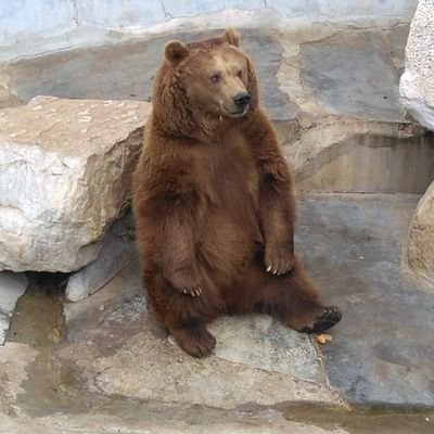 ‏ Fake account لمتابعة الأخبار الرياضية
