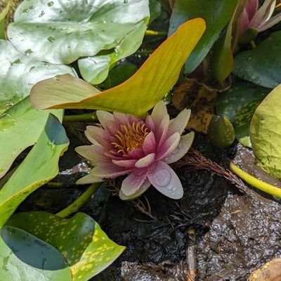 174Rein's profile picture. 