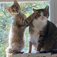 Lucyna (@lucyna60497203) 's Twitter Profile