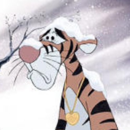 tigr98's profile picture. 