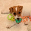 Marlene Ritchie - @starmar527_ - Twitter