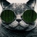 Crypto Arcadex (@cryptoarcadex) Twitter profile photo Crypto Arcadex (@cryptoarcadex) Twitter profile photo
