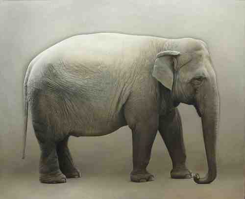 galleriasalamon's profile picture. Galleria d'arte specializzata in arte figurativa contemporanea: sculture, dipinti, disegni e grafiche. Quando il virtuosismo è al passo con i tempi!