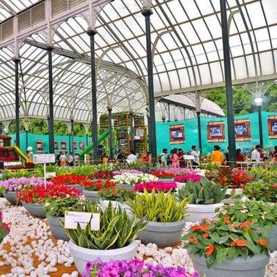 parisista's profile picture. Parisista