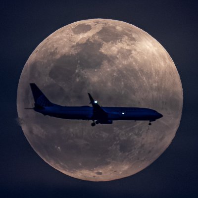 Long time lurker that uses twitter to follow #avgeek, #milair, #space, and #launch news. Amateur photographer with a love of Aviation | Space | Birds