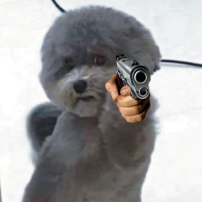 pimbensin's profile picture. masih pemula puh sepuh