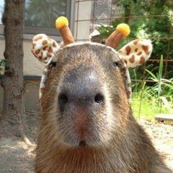 GloUnicorn's profile picture. He like 🍔🍟🍦