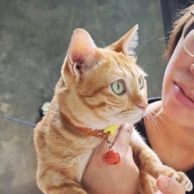 SUGUSFION's profile picture. - I'm attracted to spirits, whatever body they're in 🏳️‍🌈- 🦁