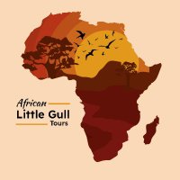 African Little Gull Tours(@gull_tours) 's Twitter Profile Photo