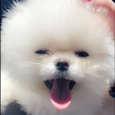 MayaTraders_'s profile picture. No, not stock advice. Tank & TB fan-page, my trades, & /🎣 pics. Finding exploits in exchange rules, co filings, & dilution trends. Pronouns: Your/Stepmom