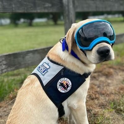 Mutts With A Mission is a non-profit that trains Service Dogs for Veterans and First Responsers with service or line of duty connected disabilities.