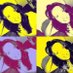 Alexandra (@abeacha42229) Twitter profile photo Alexandra (@abeacha42229) Twitter profile photo