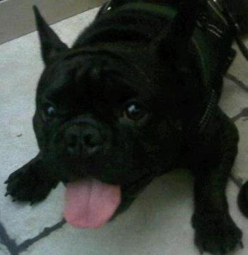 sergiospagnolo1's profile picture. sono iooooooooooo tranquilliiiiii!!!!!!!!